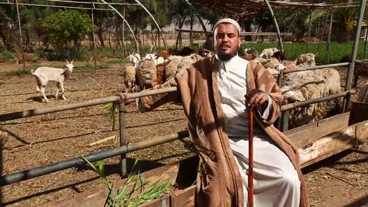 الشيخ/ عبد المنعم إبراهيم عامر - رعي الغنم (الجز...