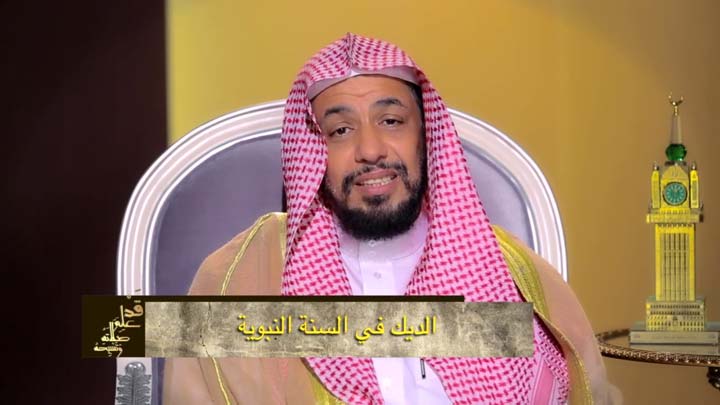 الدكتور/ أحمد بن نافع المورعي - الديك في السنة...