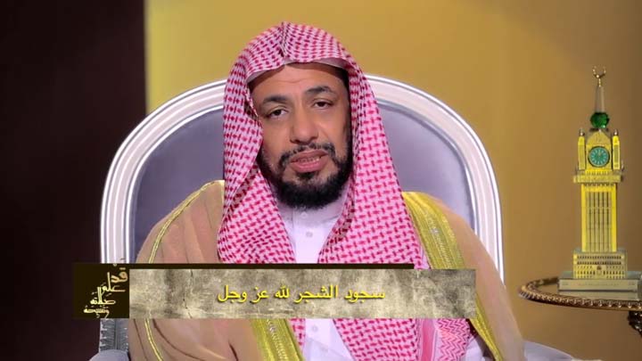  الدكتور/ أحمد بن نافع المورعي - سجود الشجر لله...