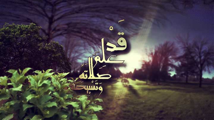  الدكتور/ أحمد بن نافع المورعي - مواقف الشجر مع...